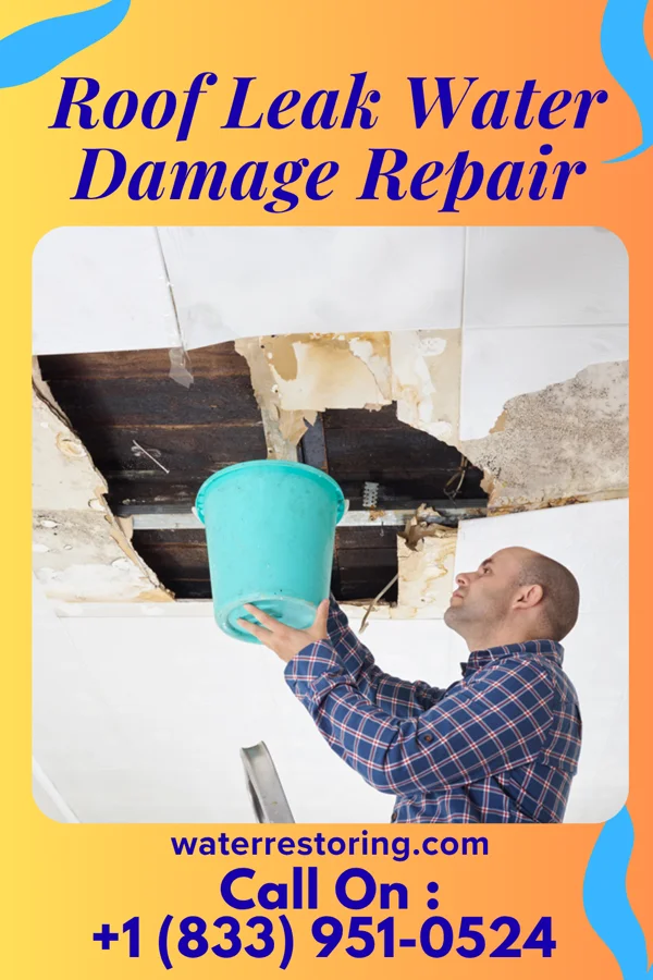 Roof Leak Water Damage Repair in Goldsmith, TX