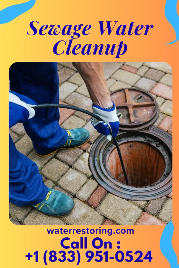 Sewage Water Cleanup in Goldsmith, TX